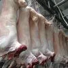 продаю мясо  баранина  халяль  в Подольск