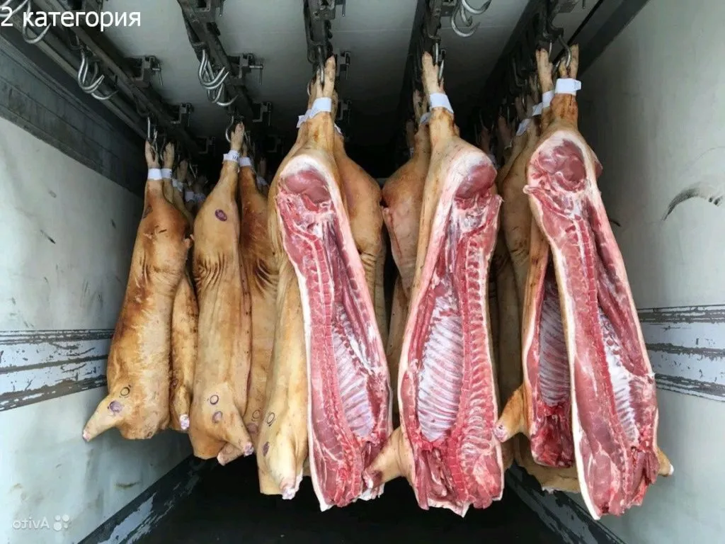 фотография продукта Мясо свинина оптом в п/т 161р/кг