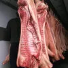 мясо свинина оптом 161р/кг в Видном 2