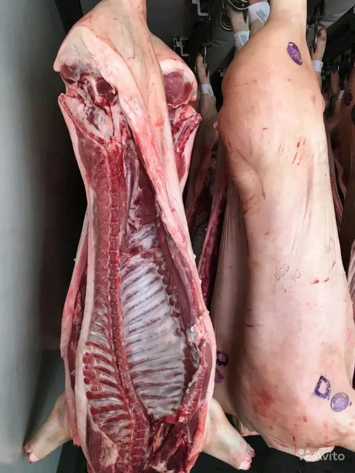 фотография продукта Мясо свинина оптом 161р/кг