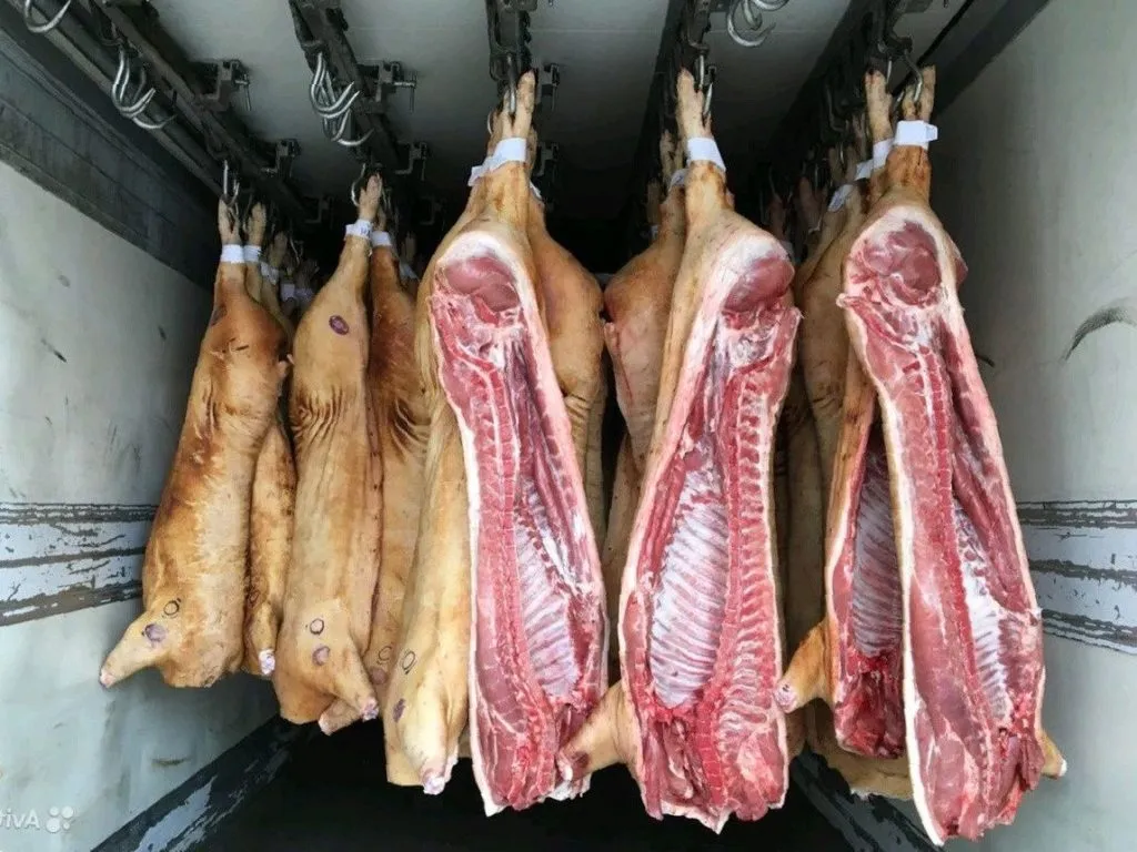 фотография продукта Мясо свинина в пт. опт. 161р/кг