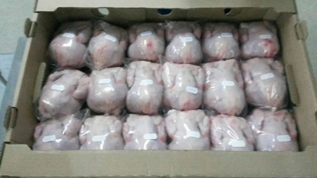 продажа Цыпленок корнишон в Истре