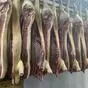 производители свинины в полутушах в Москве и Московской области 10