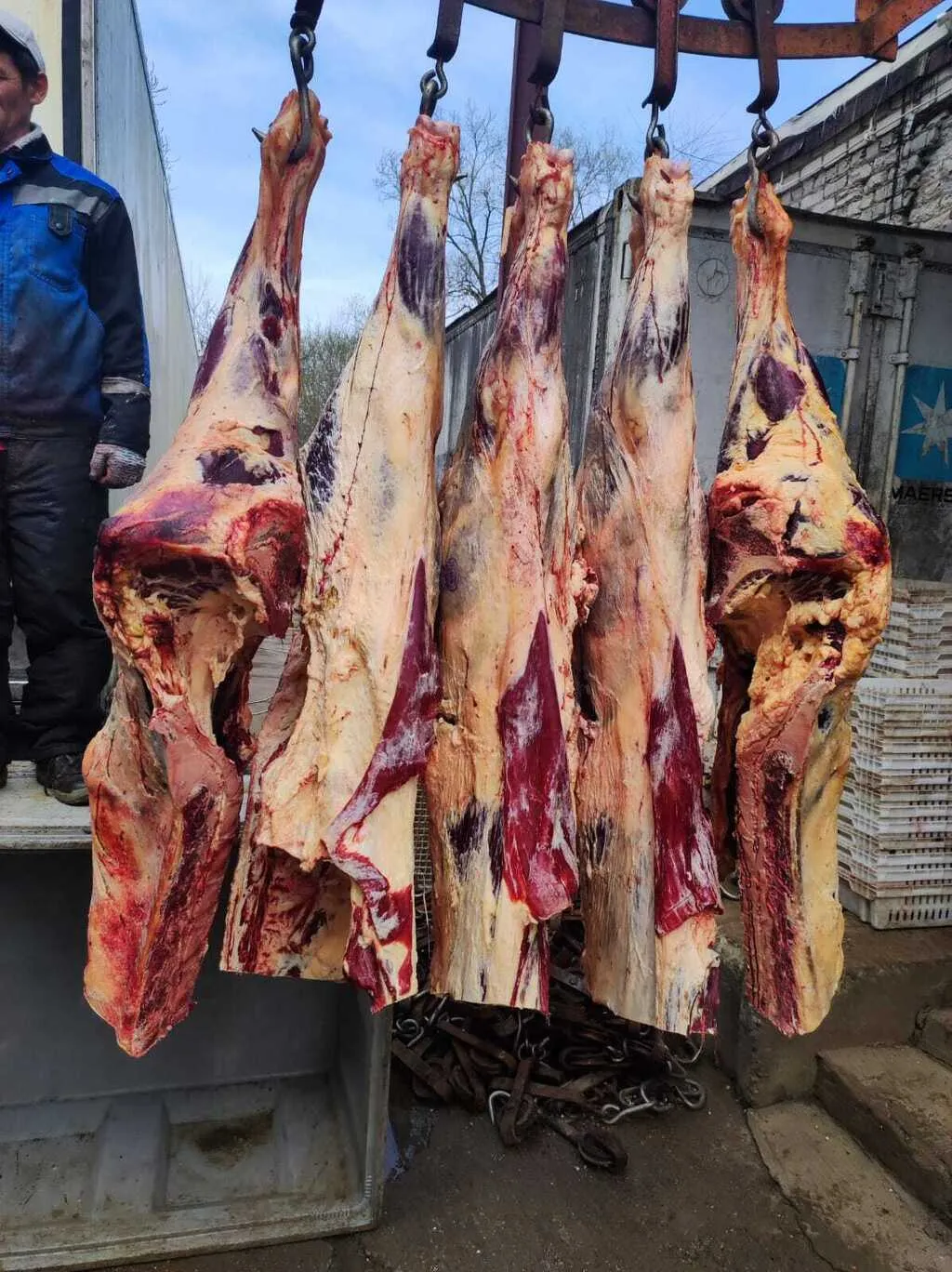 мясо говядины в полутушах  в Москве и Московской области