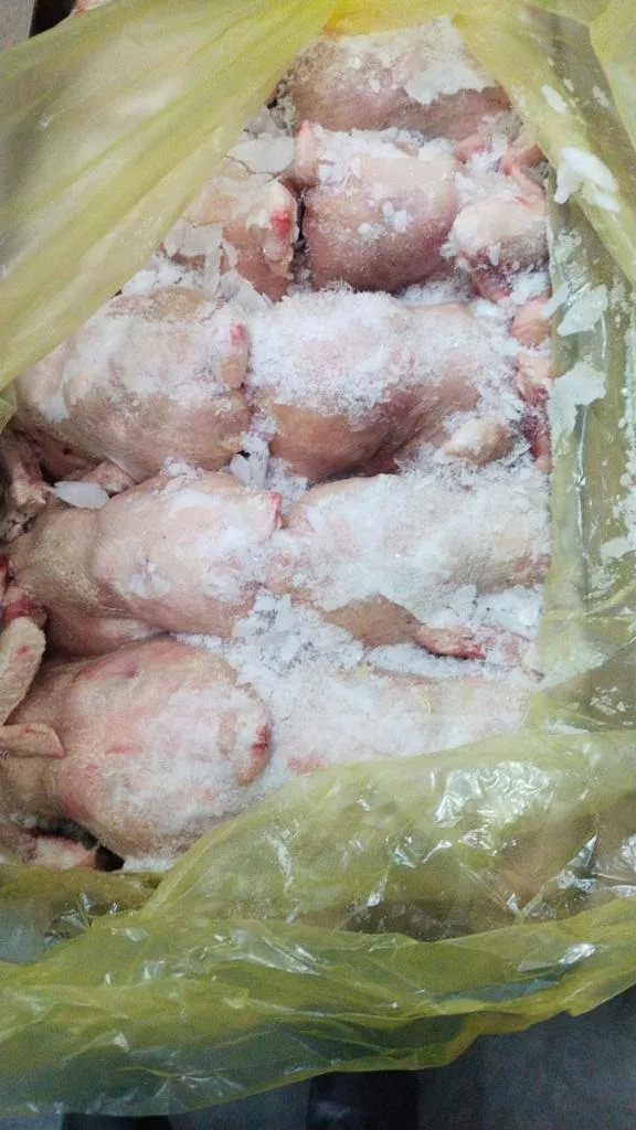 продаем мясо птицы  в Подольск