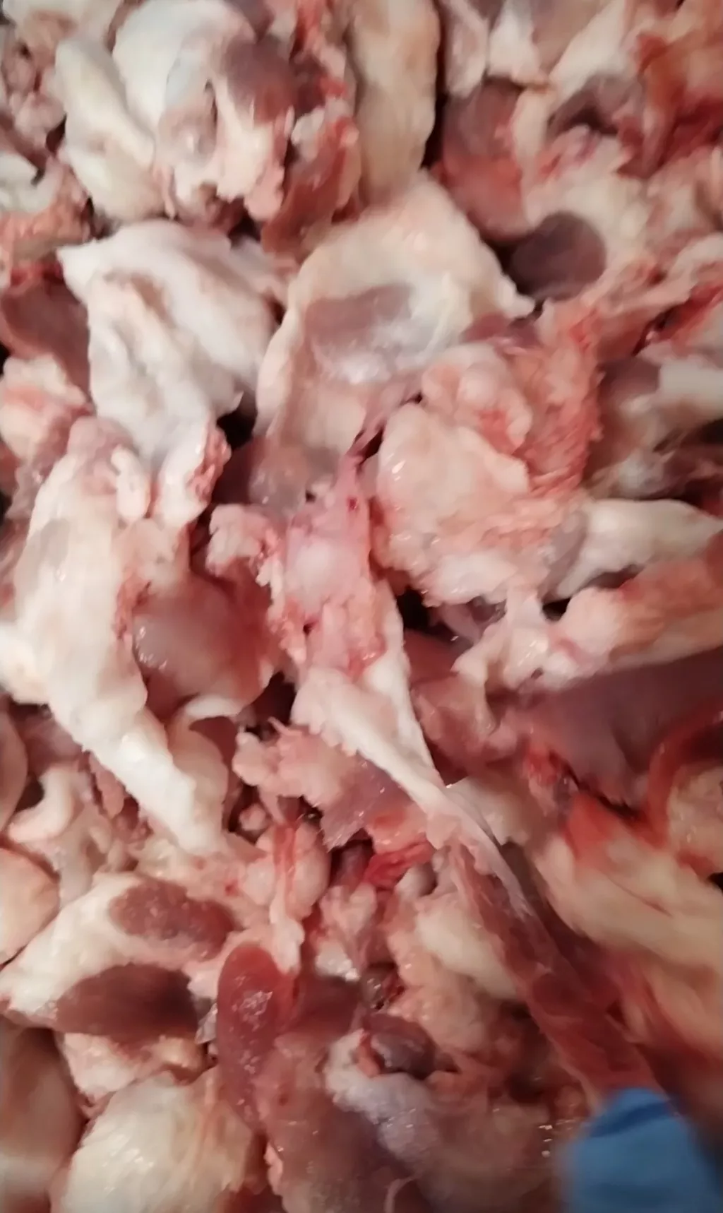 обрезь свиная замороженная в Москве и Московской области