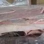 шкура свиная, производитель россия в Москве и Московской области 4