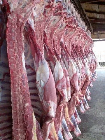 охл.мяса в п/т в Балашихе 18