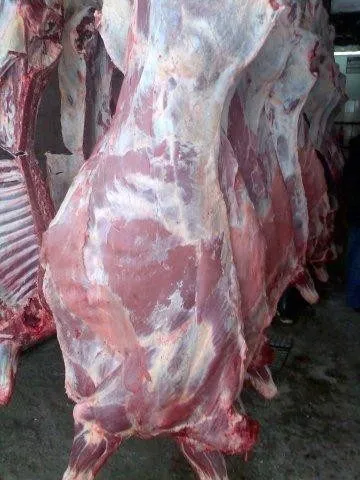 охл.мяса в п/т в Балашихе 52