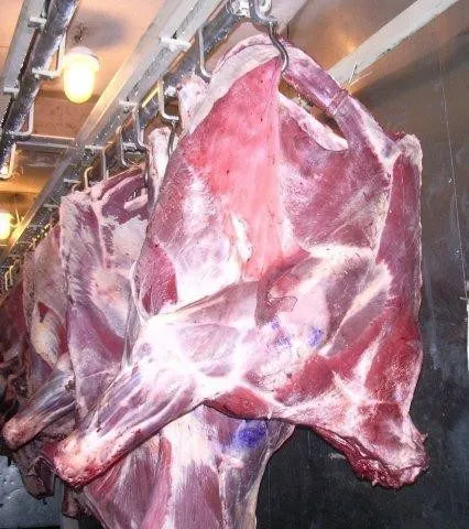 фотография продукта охл.мяса в п/т