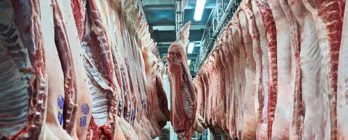Рузский мясокомбинат увеличит производство животного белка на 75%