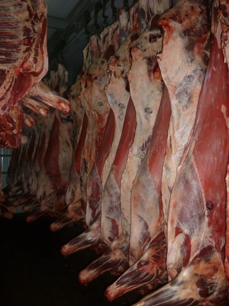 фотография продукта мясо говядина на кости. 