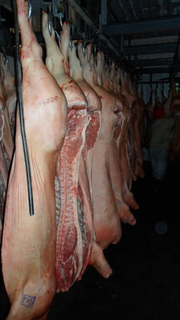 фотография продукта Продаем свиные полутуши