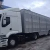 перевозка скота; коров,,нетелей,телят   в Москве и Московской области 3