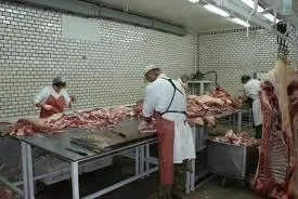 фотография продукта мясо говядина оптом