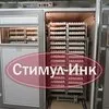отечественный производитель инкубаторов в Пушкине 3