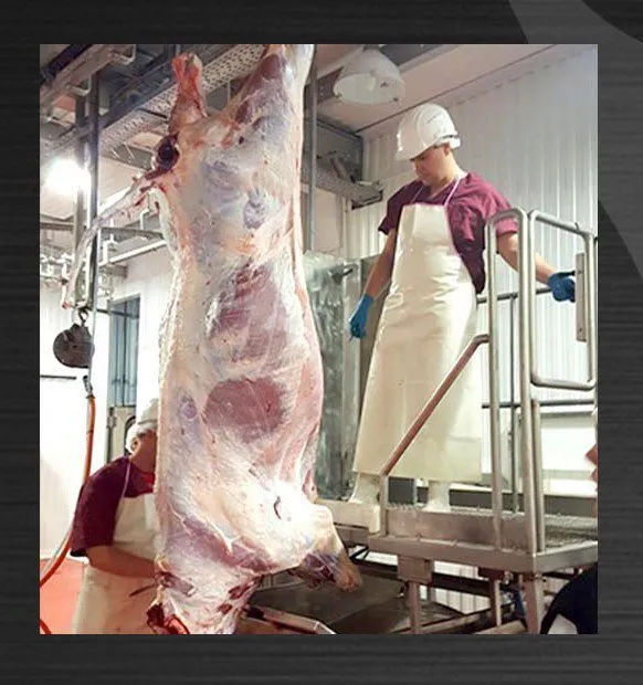 мясо говядины от производителя оптом РБ в Одинцово 6