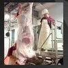 мясо говядины от производителя оптом РБ в Одинцово 6