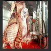 мясо говядины от производителя оптом РБ в Одинцово 10