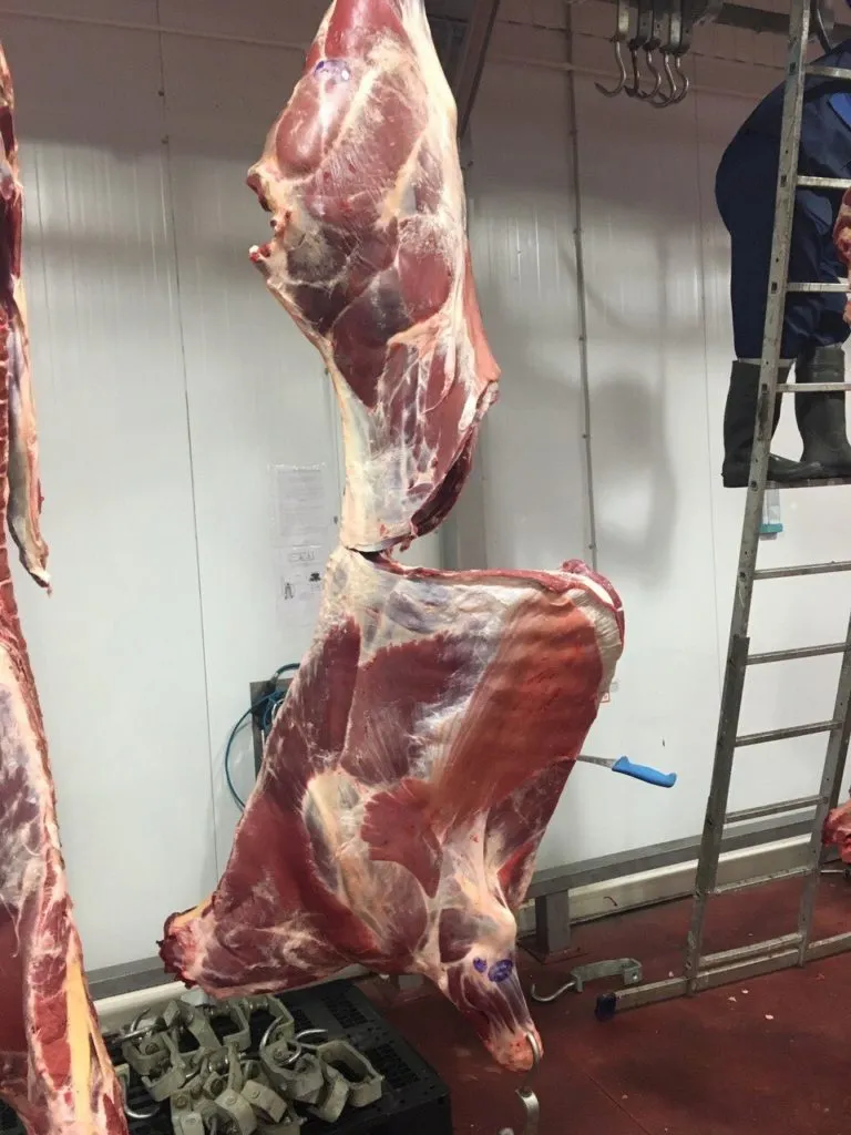 мясо говядины от производителя оптом РБ в Одинцово
