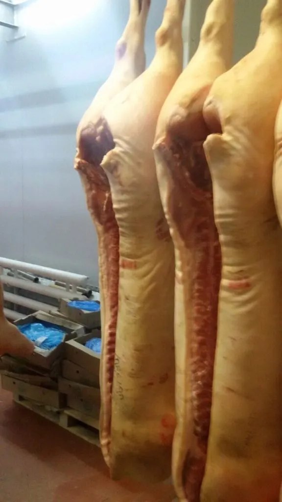 фотография продукта Мясо свинины в  полутушах 