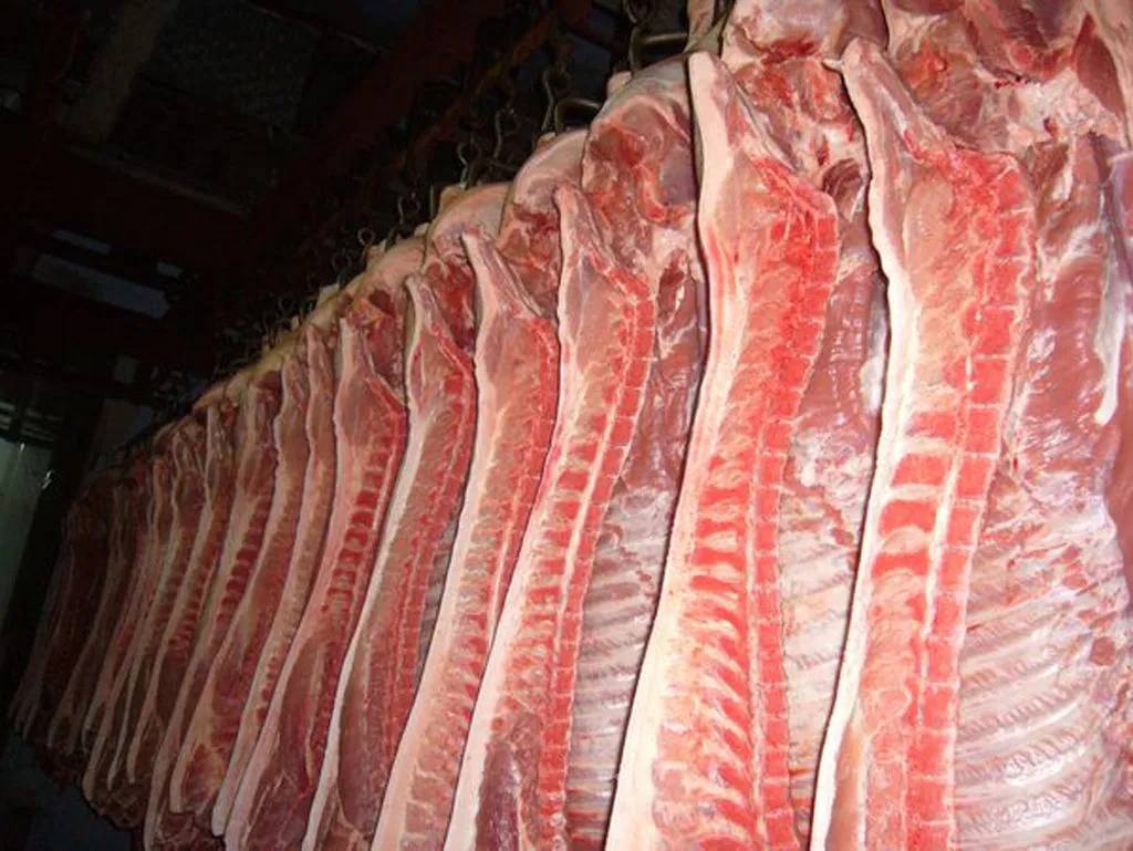 фотография продукта свинина алтайская крупным оптом