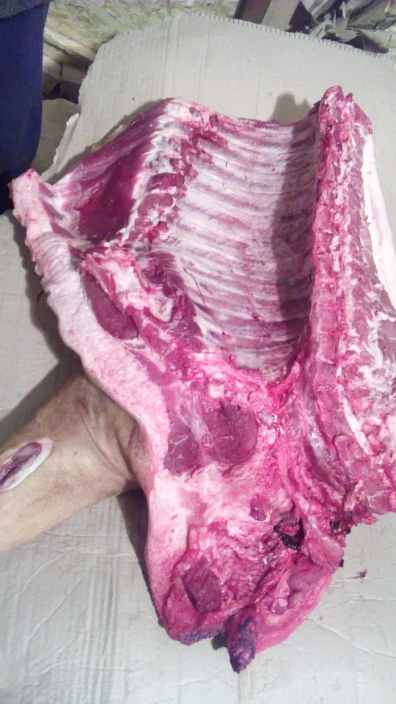 фотография продукта мясо свинина