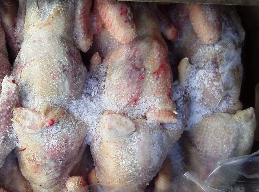 Фотография продукта Курица маточник 