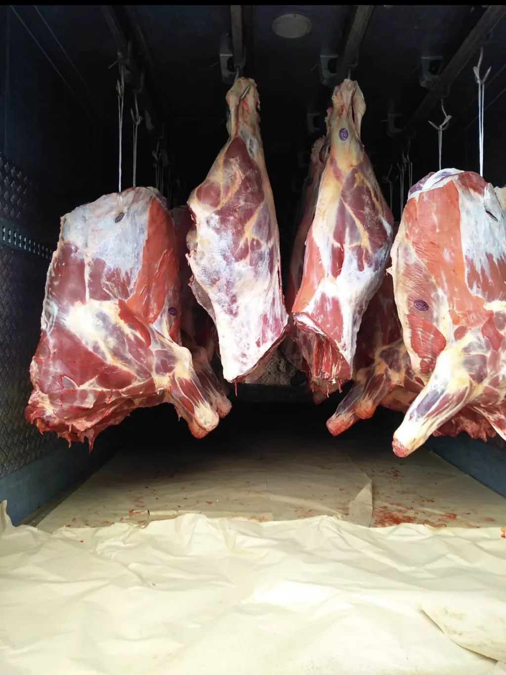 Фотография продукта Мясо говядина быки  в полутушах охл  зам