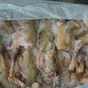 курица – несушка, тушка  в Москве и Московской области