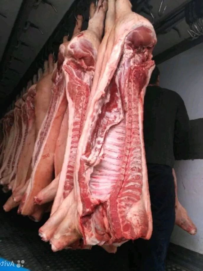 свинина оптом с производства 161р/кг в Видном 2