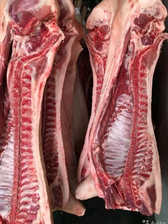 мясо свинина оптом в пт 161р/кг в Видном 4