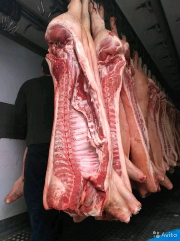 свинина оптом от производителя 161р/кг в Видном