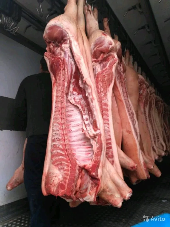 фотография продукта Свинина полутуши оптом 161р/кг