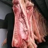 свинина полутуши оптом 161р/кг в Видном