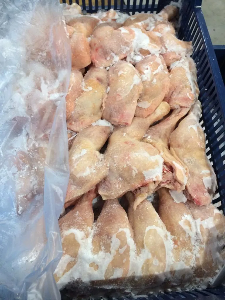 фотография продукта Мясо птицы оптом от производителя
