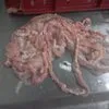 услуги по производству мукозы и оболочки в Балашихе 2