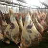 мясо быка  в Ногинск