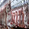 производство мяса, продажа оптом в Пушкине 7