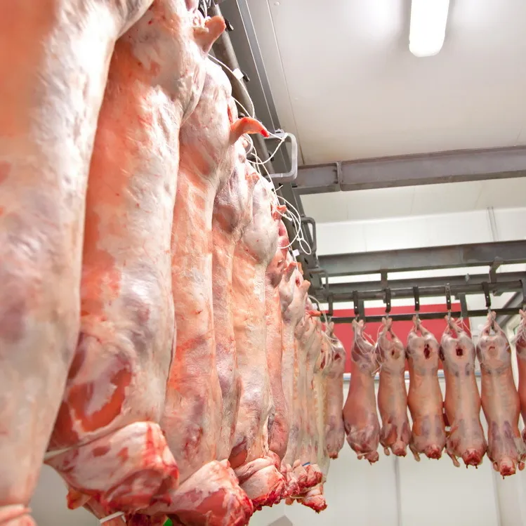 производство мяса, продажа оптом в Пушкине 5