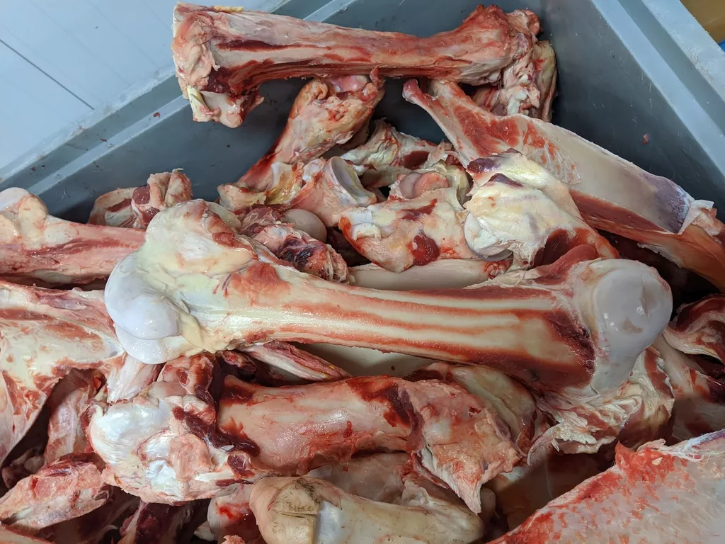 кости говяжья  (гантели)  в Солнечногорске