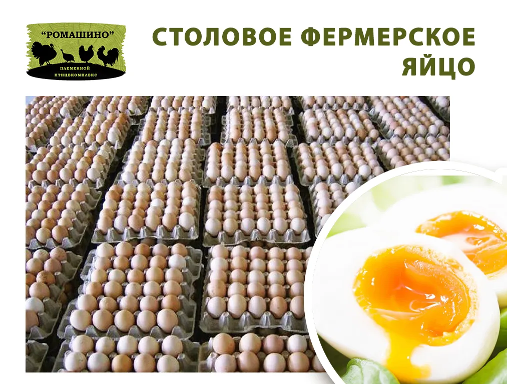 фотография продукта Фермерское куриное яйцо оптом