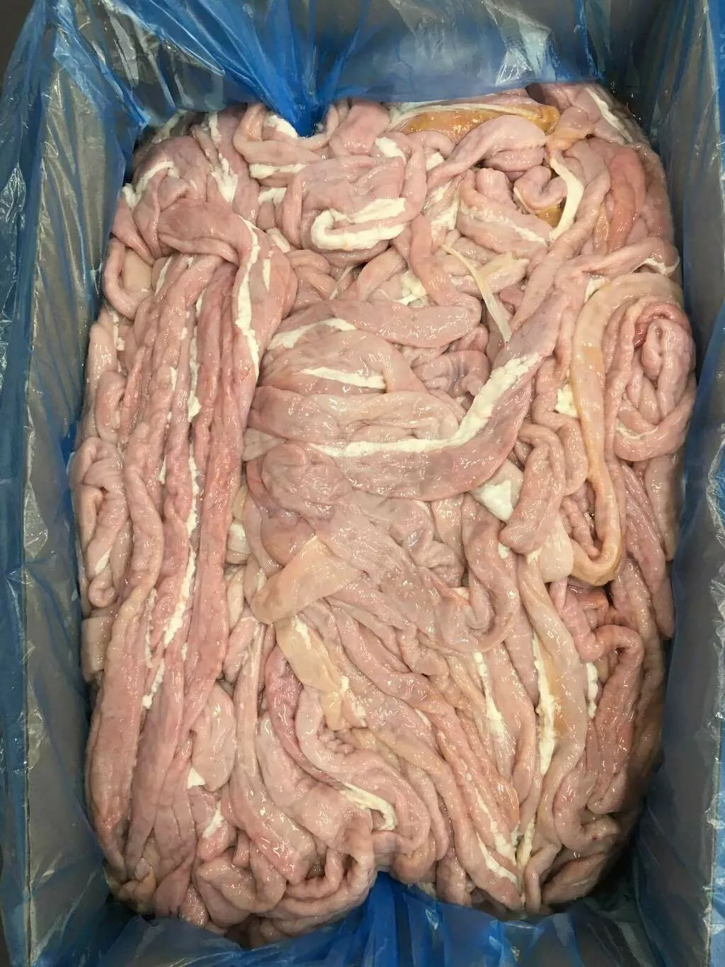 фотография продукта Кишки свиные (тонкий отдел кишечника)
