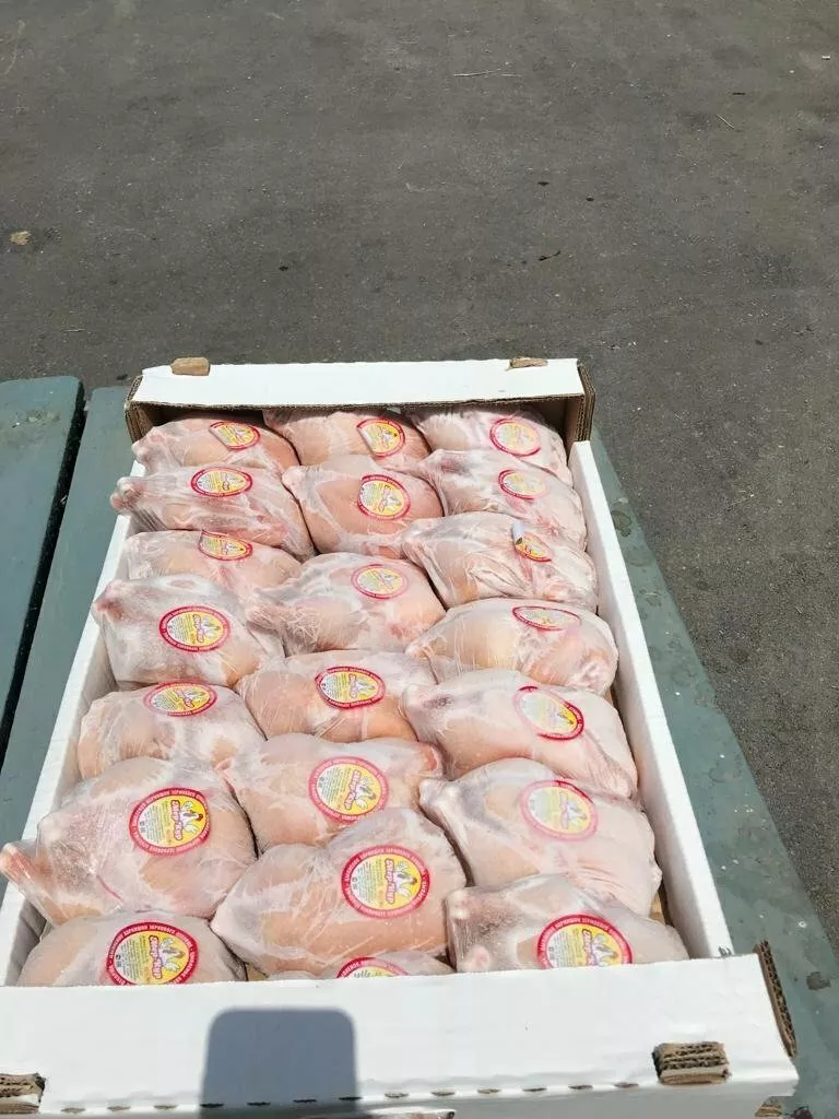 фотография продукта Тушка цыпленок-корнишон  ,вес 400...гр
