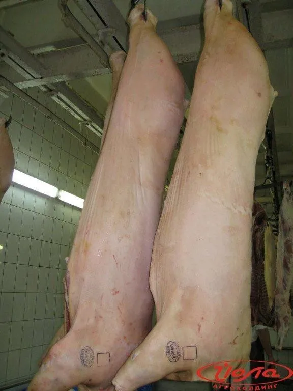 охл.мяса в п/т в Серпухове 45